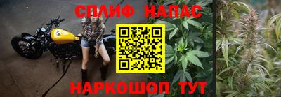 СК Нарткала