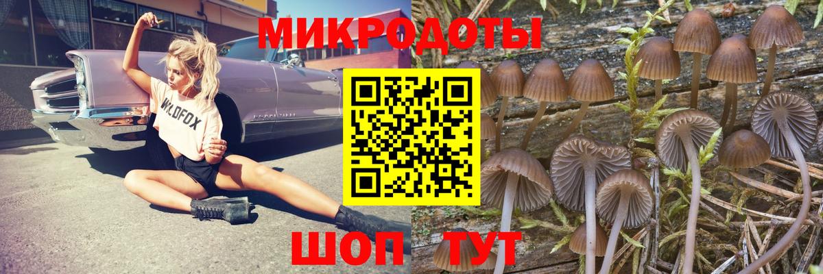 Галлюциногенные грибы MAGIC MUSHROOMS  Вход с VPN  Псилоцибиновые грибы Psilocybine cubensis  Сегежа 